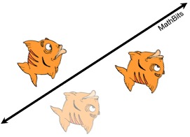 orangefish2